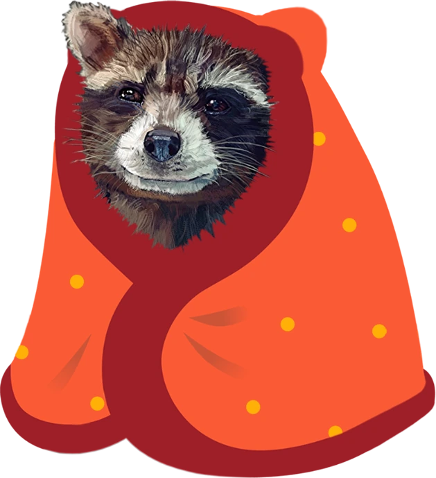 RocketInABlanket emote