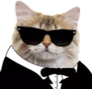 BasedCat emote