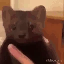 DIES emote