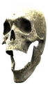 skullpog emote
