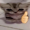 Okei emote