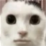 Huh emote