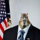 capybarabama emote