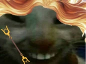 luxdd emote
