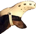 CaptainDoggo emote