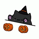 halloween_pumpkin_bongo emote