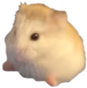 Sits emote