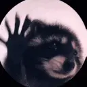raccoonDance emote