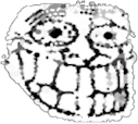 terror emote