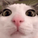 star emote