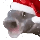 OOOO emote
