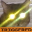 CE_CattoTriggered3 emote
