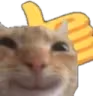 PawPawDone emote