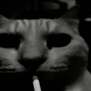 CatSmoke emote