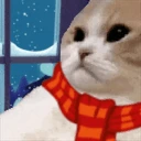 catSigh emoji