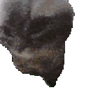 ChipiChipi emoji