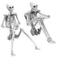 boney_pals emote