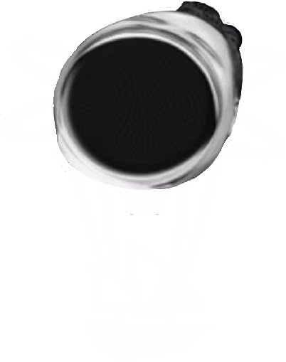 NianticMoment emote