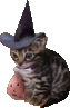spookycat static emote