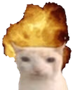 CatBoom emote