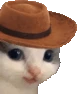Meowdy emote
