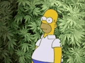 weedvanish emote