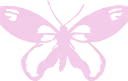 butterfly emote