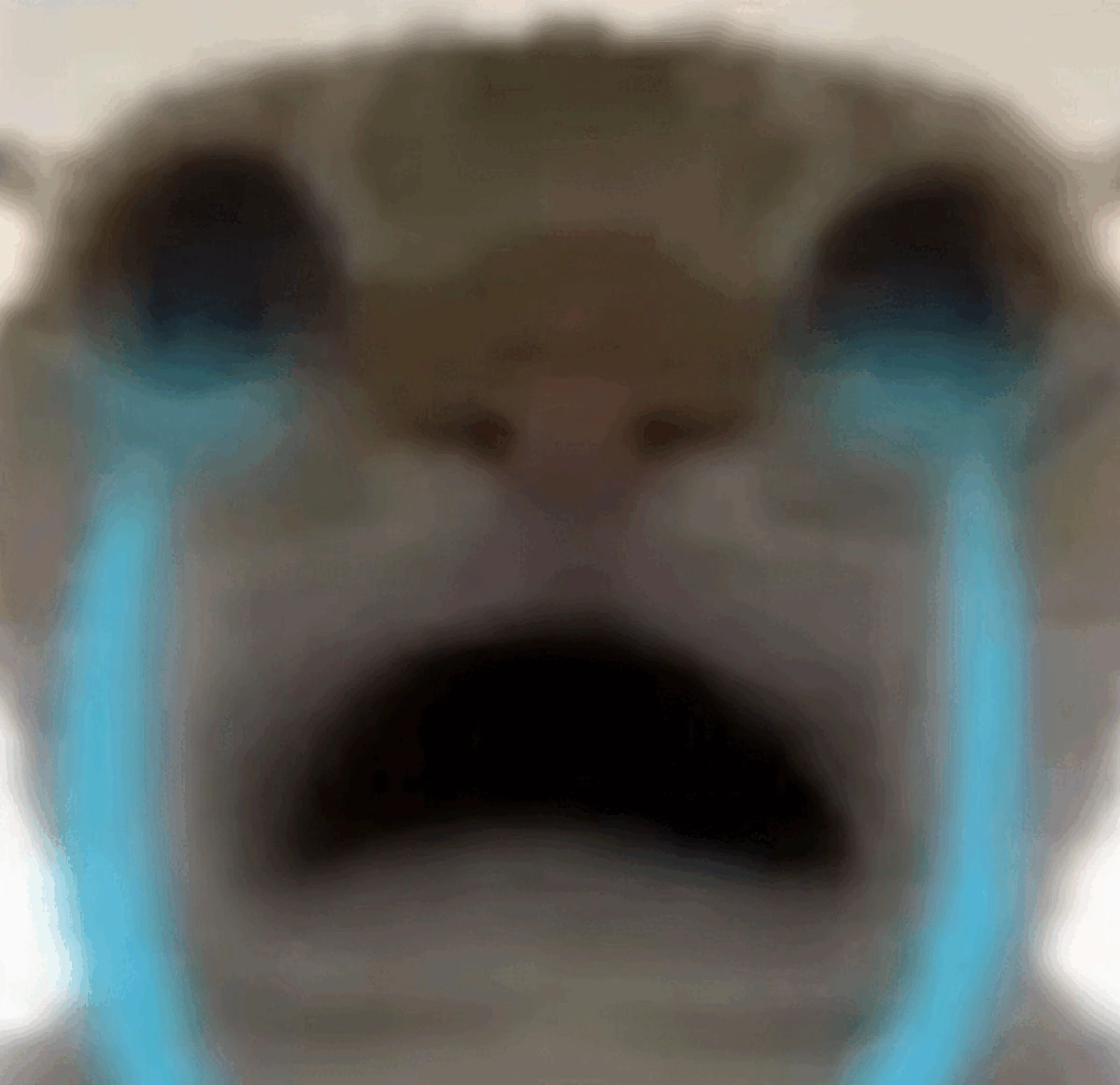 Cryingcat emote