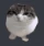 Bouncy_cat emote