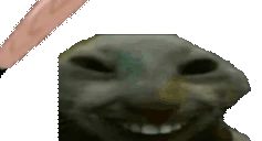 BONKTHEXDD emote