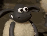 Nice emote
