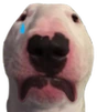 WalterSad emote