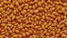 BEANS emoji