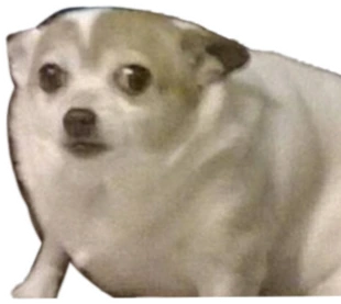 0_0 emote