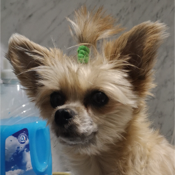 xxxjurajxxx avatar