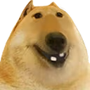 doge3Head emote