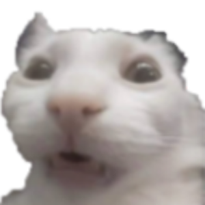 funnywhitecat6 avatar