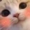 blushcat emote