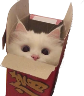 mckitty emote