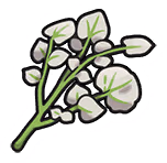 SaltyHerbaMystica emote