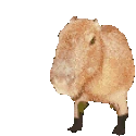 PullUp emoji
