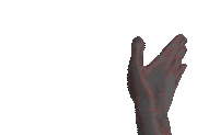 slapTime animated emote