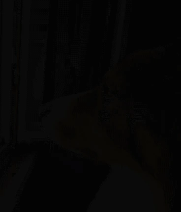 Cookedogash emote