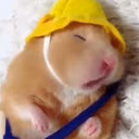 hamstersleep emote