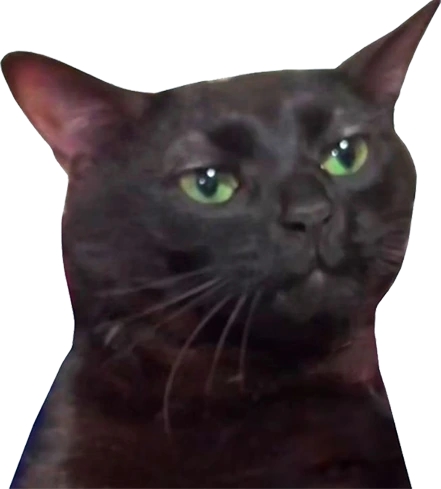 zoningoutcat emote