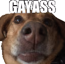 gayass emote