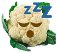 sleepfiol emote
