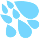 rain_drops emoji