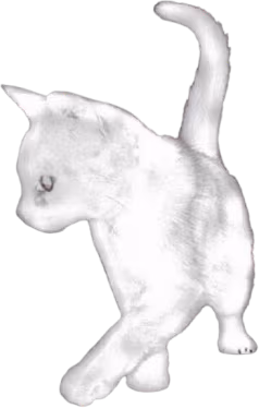 Cat emote