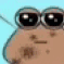 pou_after_crack animated emote